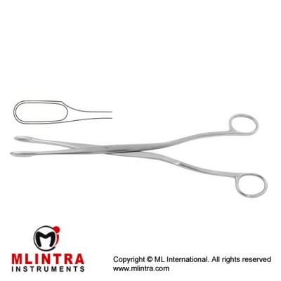 Winter Placenta and Ovum Forcep Fig. 2 Stainless Steel, 28 cm - 11" Winter Placenta and Ovum Forcep Fig. 2 Stainless Steel, 28 cm - 11"